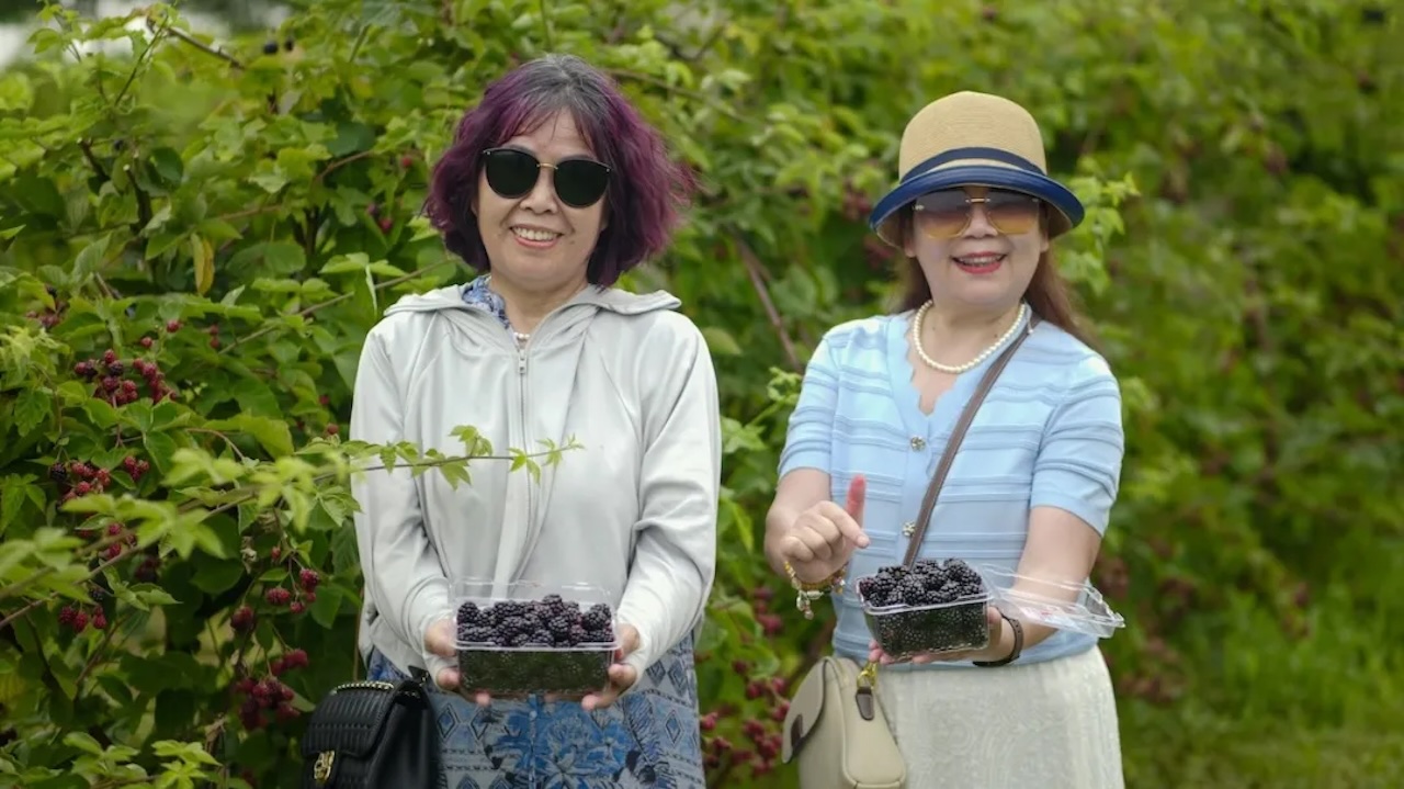 1752913521545349.jpg 640 (11)_副本.jpg