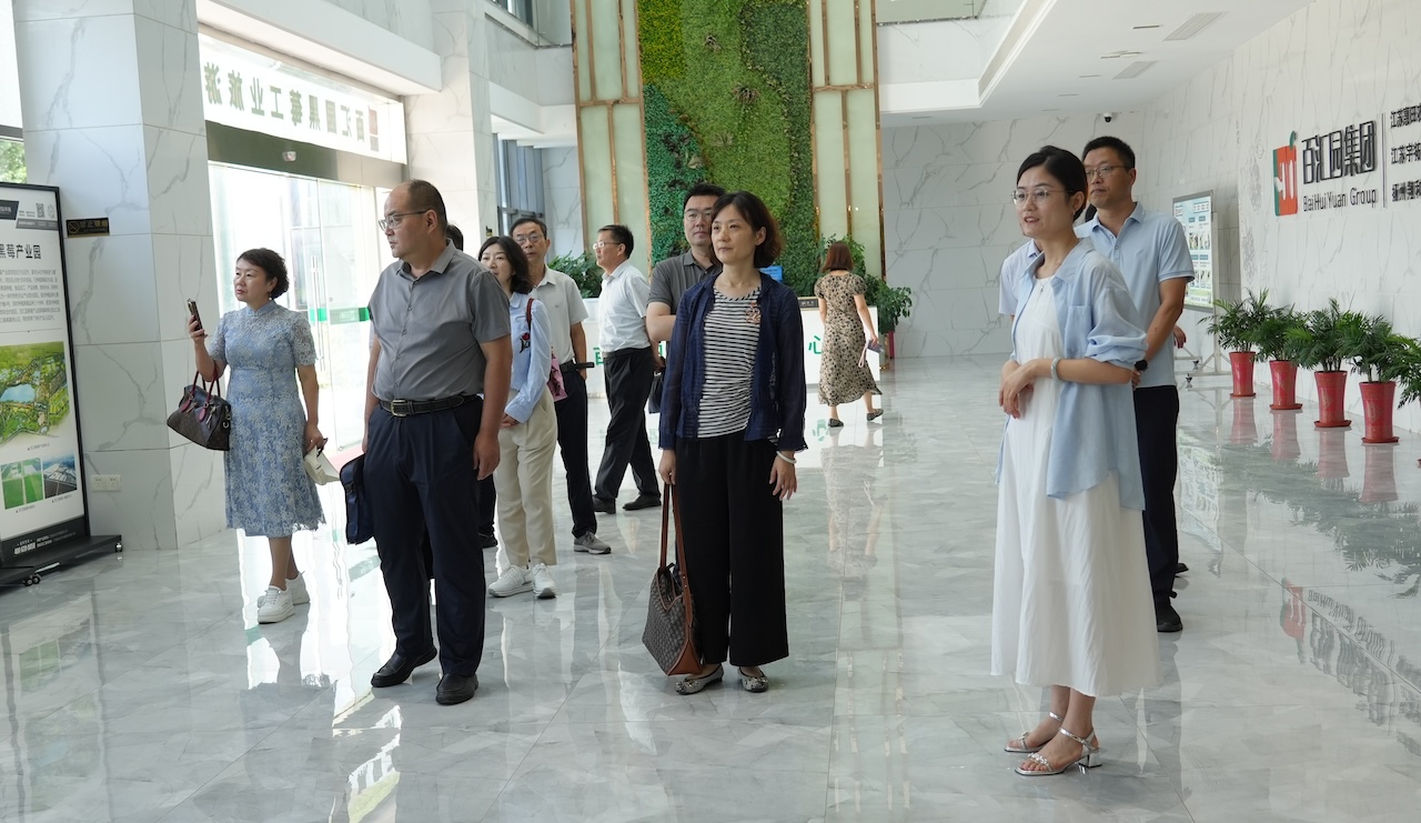 1753662426419687.jpg DSC05799.JPG