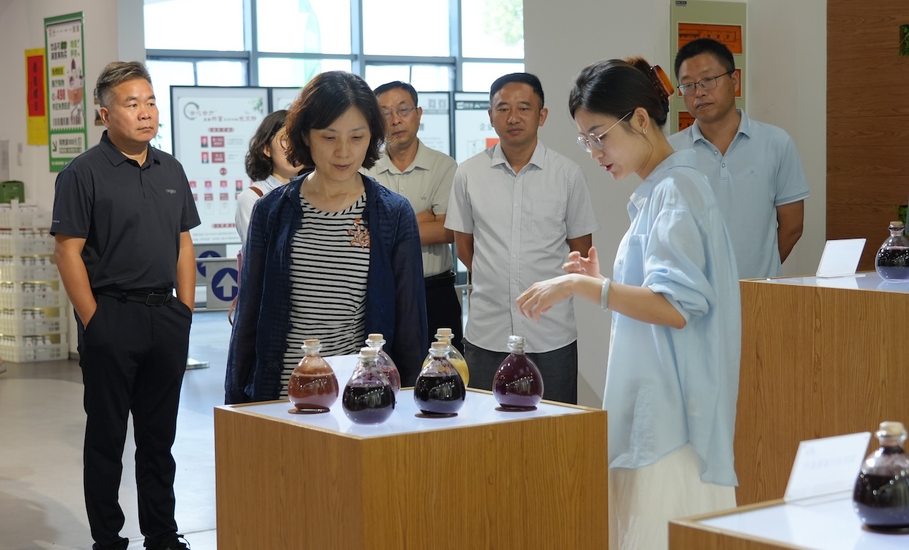 1753662436955742.jpg DSC05813.JPG