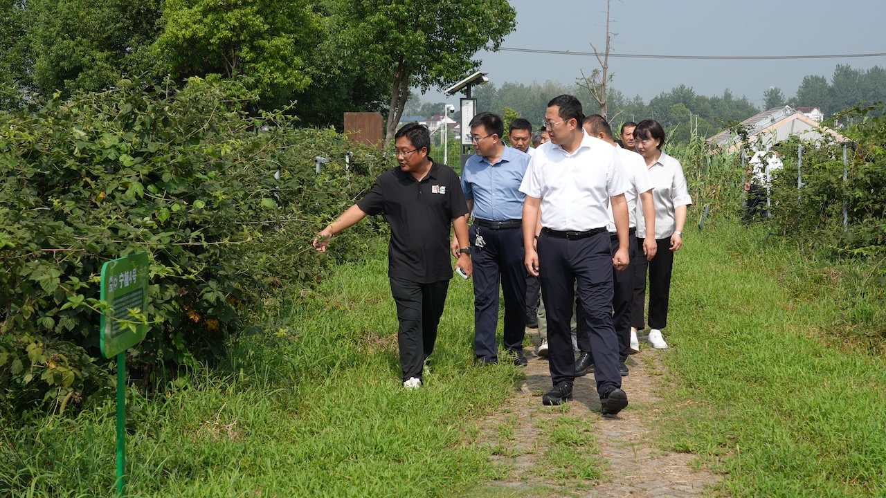 1754721677271502.jpg DSC06028.JPG