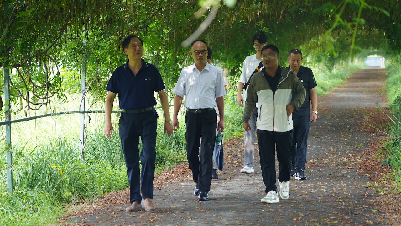 1755323220448660.jpg DSC06052.JPG